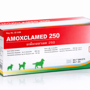 AMOXCLAMED 250
