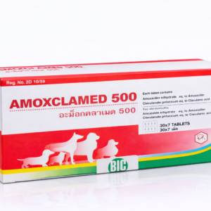 AMOXCLAMED 500