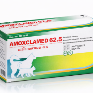 AMOXCLAMED 62.5