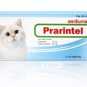 PRARINTEL