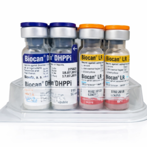 Biocan DHPPi+LR (วัคซีนรวม 7 สายพันธุ์ สำหรับสุนัข)