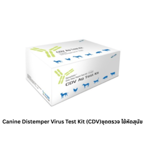 Canine Distemper Virus Test Kit (CDV) – ชุดตรวจโรคไข้หัดสุนัข