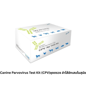Canine Parvovirus Test Kit (CPV) – ชุดตรวจโรคลำไส้อักเสบติดต่อในสุนัข