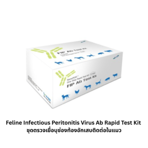Feline Infectious Peritonitis Virus Ab Rapid Test Kit – ชุดตรวจแอนติบอดีโรคเยื่อบุช่องท้องอักเสบในแมว