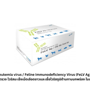 FIV Ab + FeLV Ag Combo Test Kit – ชุดตรวจเอดส์และมะเร็งเม็ดเลือดขาวในแมว