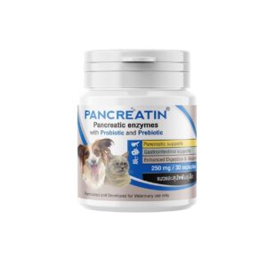 Pancreatin (แพนครีเอติน สำหรับสุนัขเล็กและแมว)