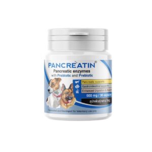 Pancreatin (แพนครีเอติน สำหรับสุนัขใหญ่)
