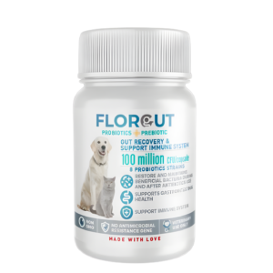 Florgut (Prebiotic & Probiotic) Large size