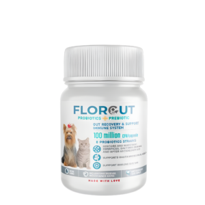 Florgut (Prebiotic & Probiotic) Small size