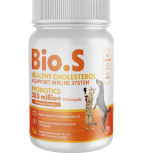 Bio-s (Probiotic)