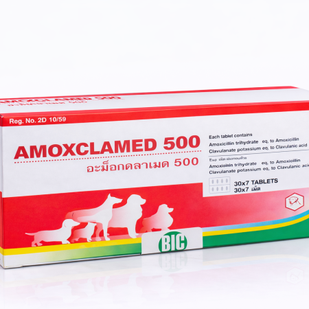 AMC500